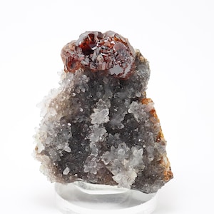 Sphalerite crystal on Quartz from Shuikoushan mine, Hunan, China natural stone science earth geology mineral specimen (F41214-8)