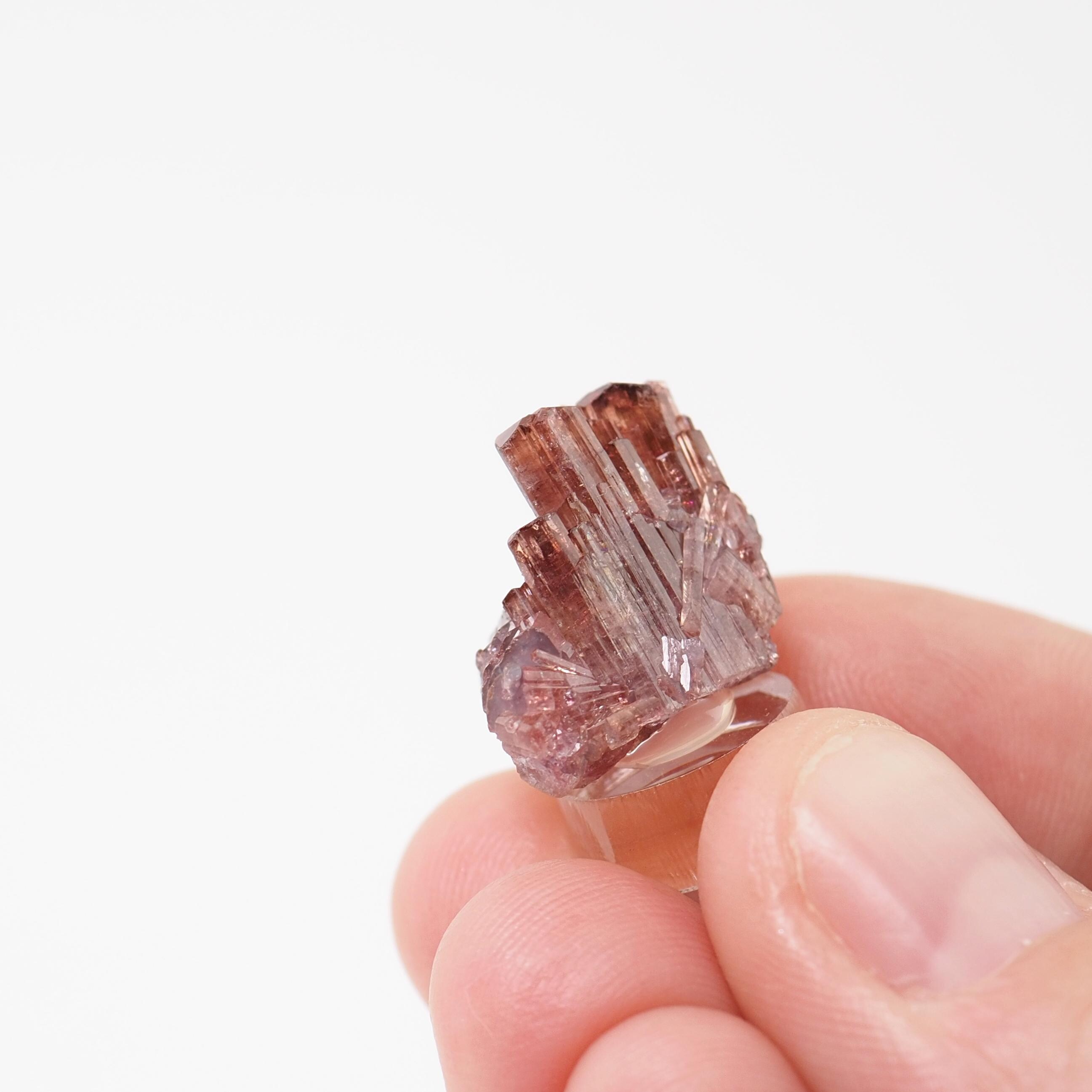 ルベライト　トルマリン　原石　鉱物標本 ルベライトトルマリン結晶原石鉱物標本ポイント天然石（F5317-44）構造