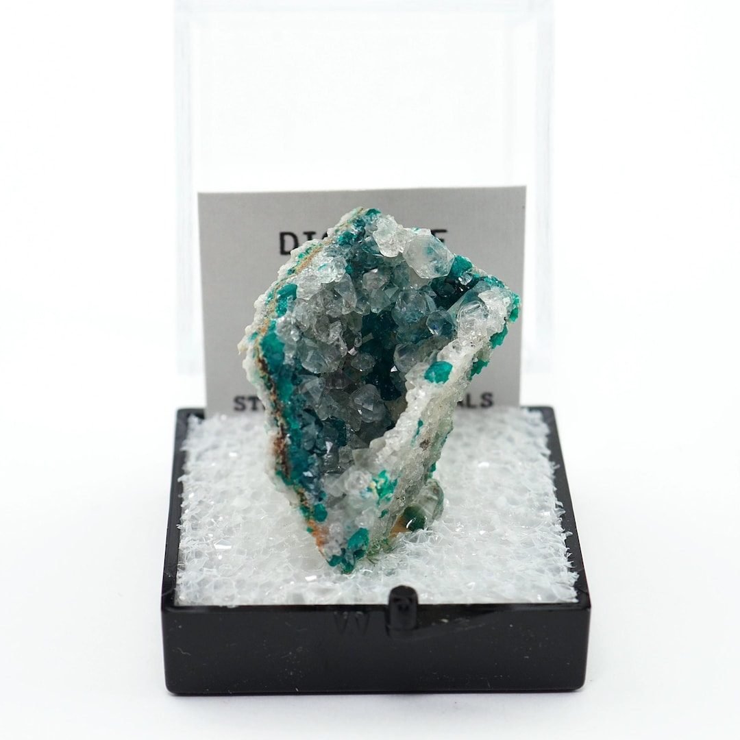 Dioptase Crystal Mineral Specimen: Republic of Congo, Perky Box