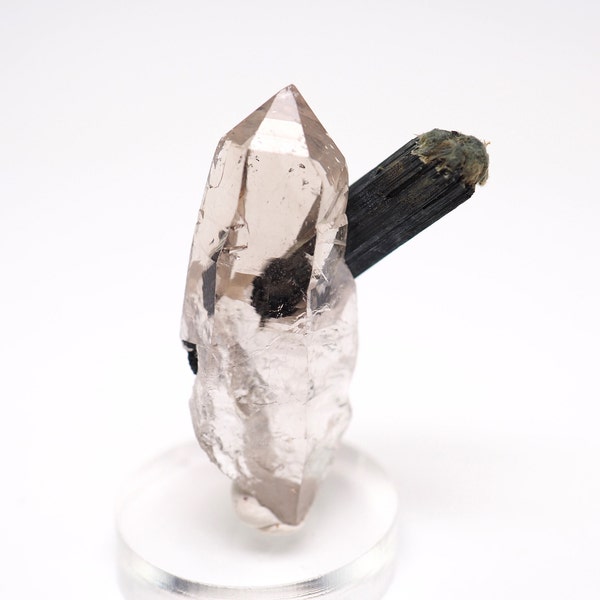 Quartz crystal with Aegirine from Mt Malosa, Malawi - 32mm x 18mm x 11mm (F91631) structure minerals