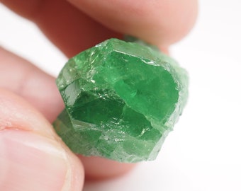 Grenat Tsavorite. 0.23 Carats. Tsavorite Mine Gogogogo -  Israel