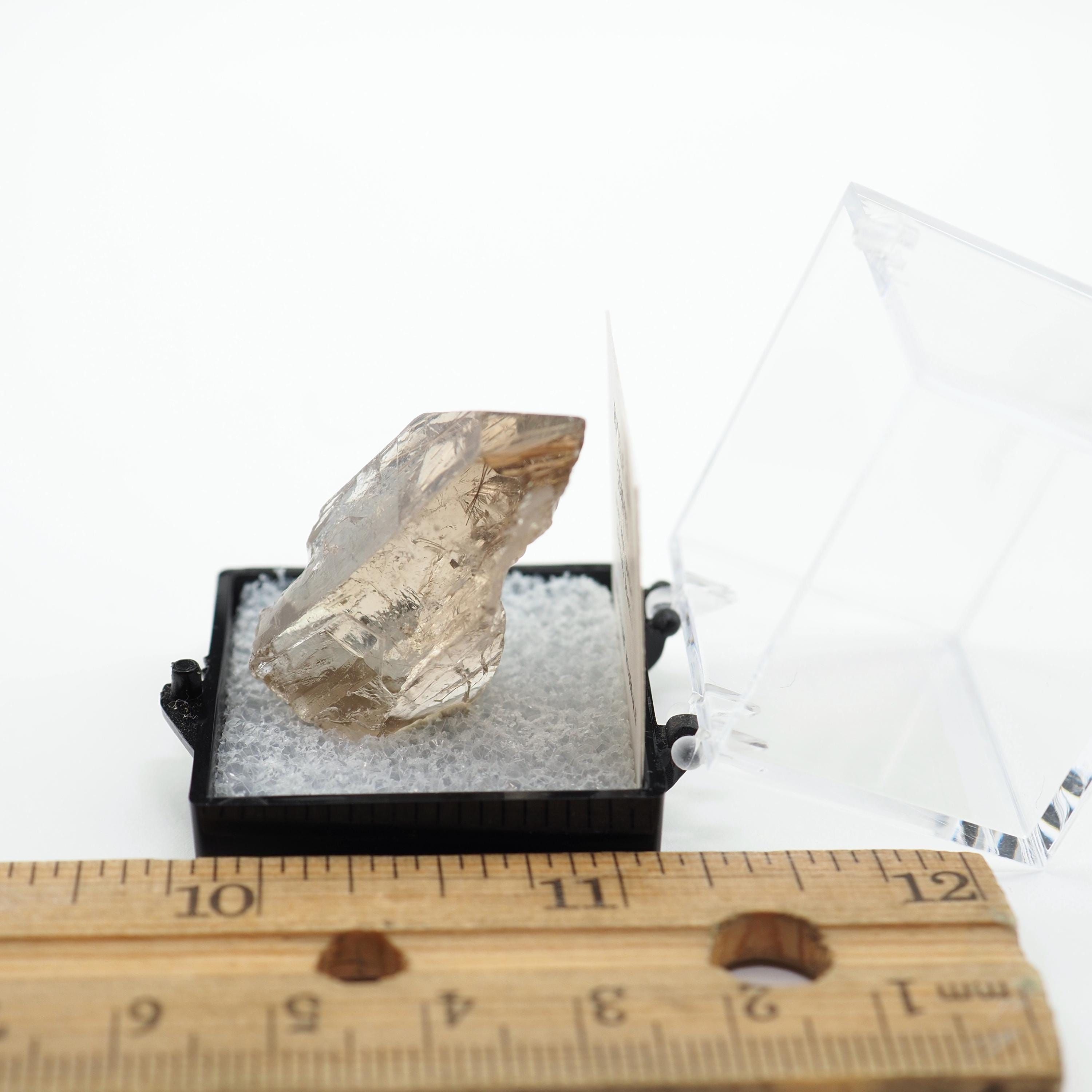 ルチルクォーツ結晶（ブラジル産、元気な箱入り）鉱物標本（TN5817-2