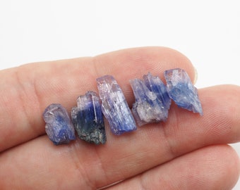 5pc Tanzanite crystals from Tanzania - 18.4ct / 10-15mm (P1023-34) structure minerals