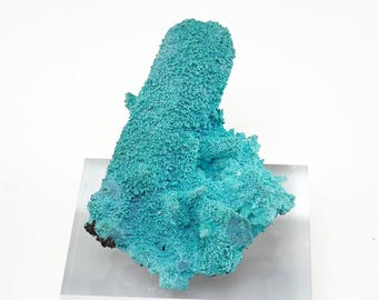 Ejemplar Pseudomorfo de Crisocola: Mineral de la República Democrática del Congo (36 mm)