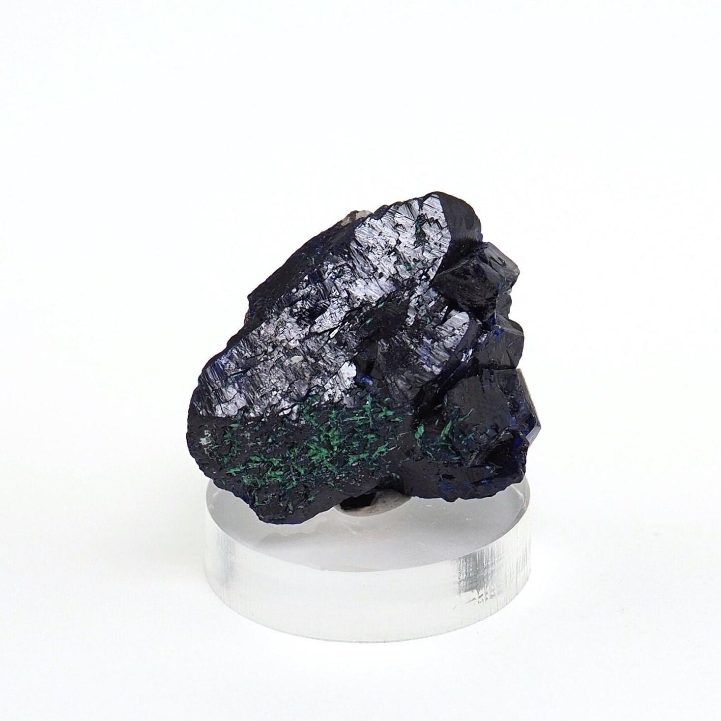 Azurite Crystal with Malachite: Milpillas Mine, Mexico (8.4gm)