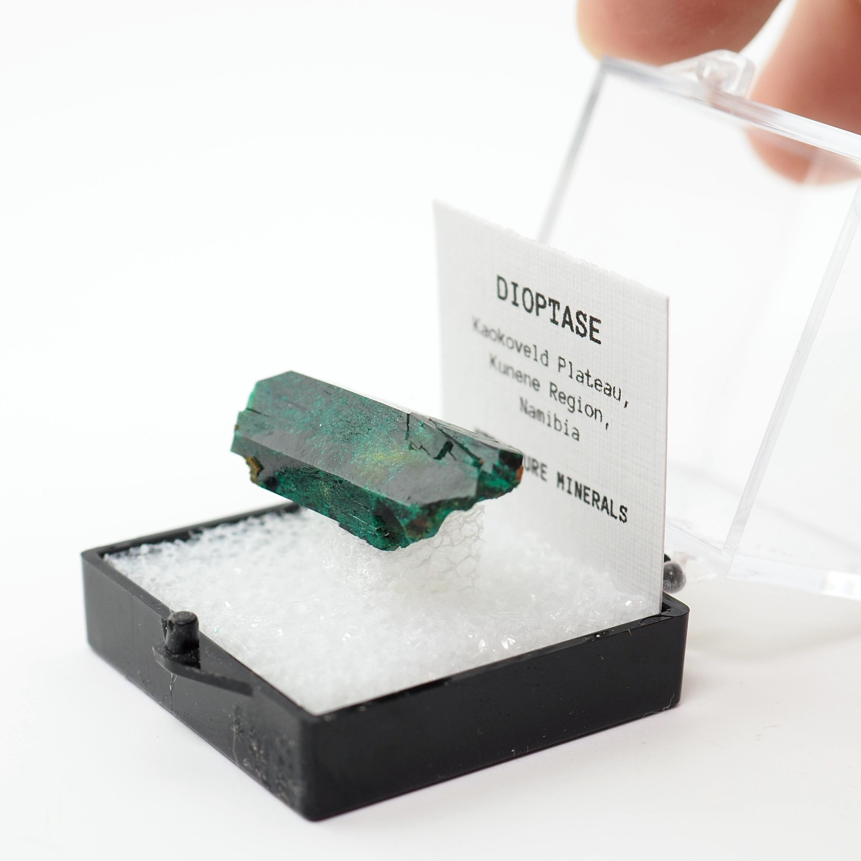 Dioptase Crystal From Kaokoveld, Namibia Thumbnail Mineral Dioptase Crystal From Kaokoveld, Namibia Thumbnail Mineral