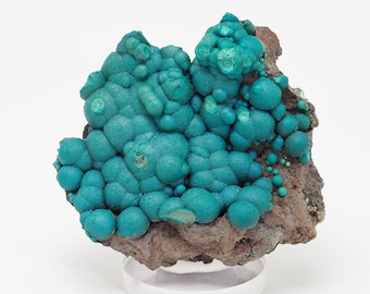 フランクリン鉱山の亜鉛鉱標本、フランクリン、サセックス郡