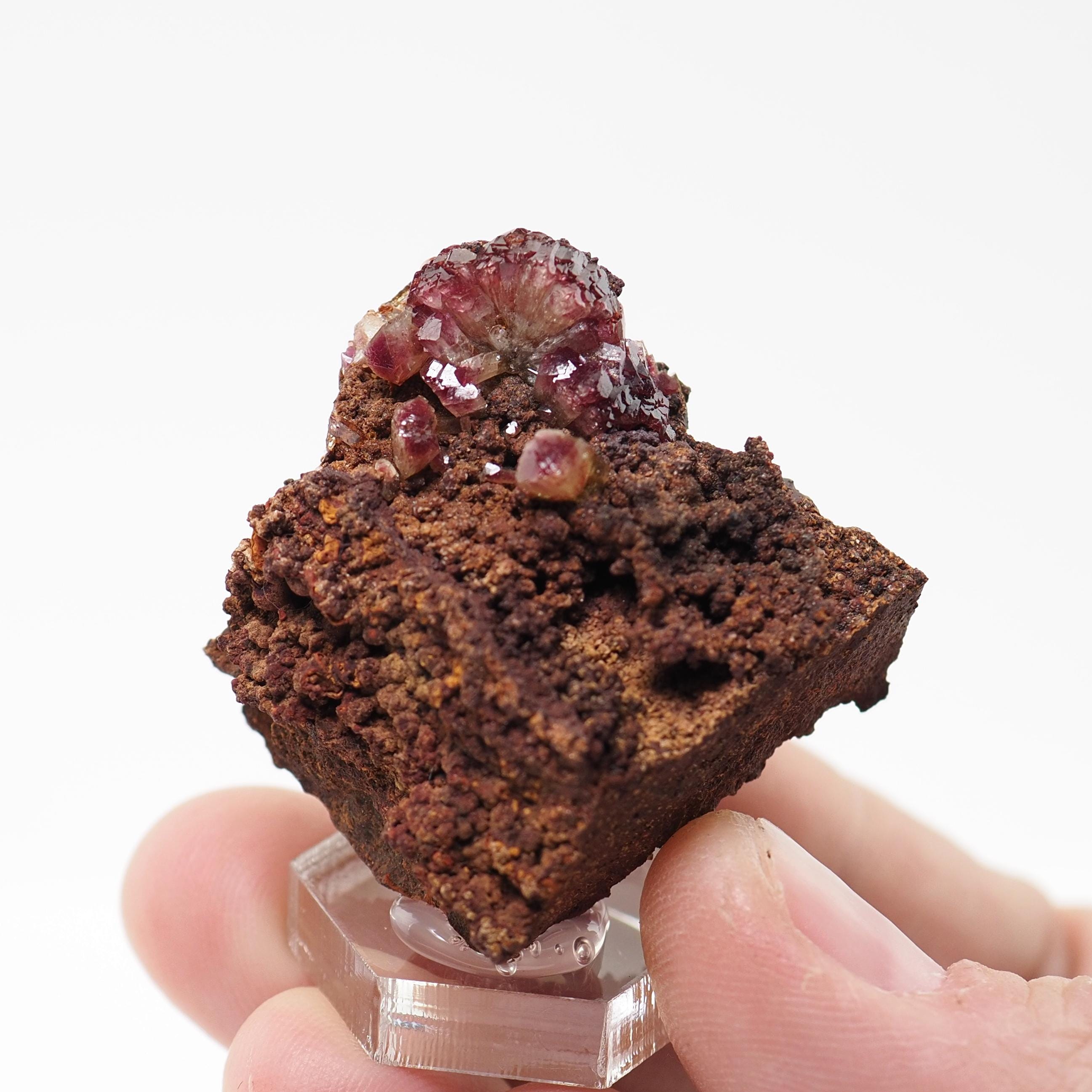 メキシコ、マピミのオフエラ鉱山産の母岩上のアダマイト（マンガノアン