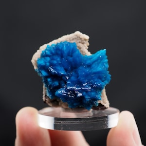 Cavansite crystals on matrix from Wagholi, India mineral specimen natural crystal fine blue crystal stone (Tuc25-C10) structure minerals