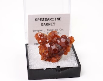 Spessartine Garnet crystals from Tongbei, China thumbnail mineral perky box natural stone (TN1030-35) structure minerals