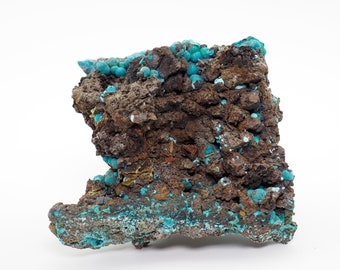 Chrysocolla crystals on matrix natural mineral specimen from Planet mine, Arizona, USA (F1127-5)