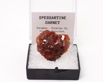 Spessartine Garnet crystals from Tongbei, China thumbnail mineral perky box natural stone (TN1030-34) structure minerals