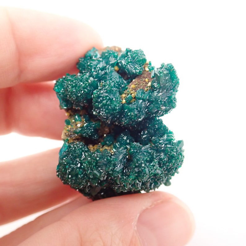 t15off DRC Dioptase with Mimetite from Tantara mine F65334 27gm 37mm x 32mm x 24mm