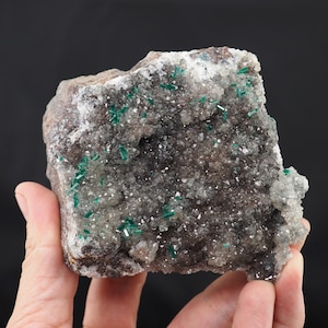 Dioptase Crystals Quartz Mineral Specimen, Republic of Congo