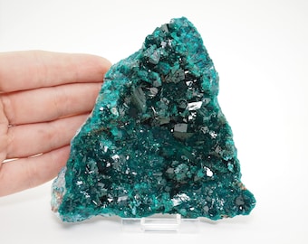 Dioptase crystals mineral specimen from Mindouli, Republic of Congo - 320gm / 123mm x 93mm x 56mm (D223.10-1)