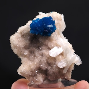 Cavansite crystals on matrix from Wagholi, India mineral specimen natural crystal fine blue crystal stone (Tuc25-C7) structure minerals