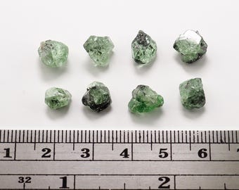8個のグリーングロッシュラーガーネット結晶：メレラニヒルズ