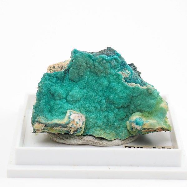 Turquoise perky box mineral specimen  (TN1032-5) structure minerals