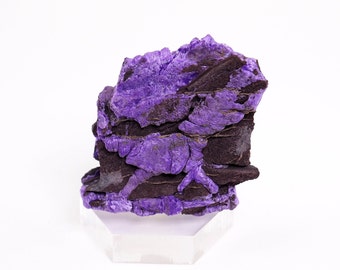 Sugilite mineral specimen crystal natural stone from South Africa - 28mm x 29mm x 10mm (F93831) structure minerals