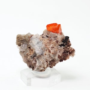 Wulfenite crystal from Red Cloud mine, Arizona, USA orange crystal geology mineral specimen natural stone (F5329-7) structure minerals