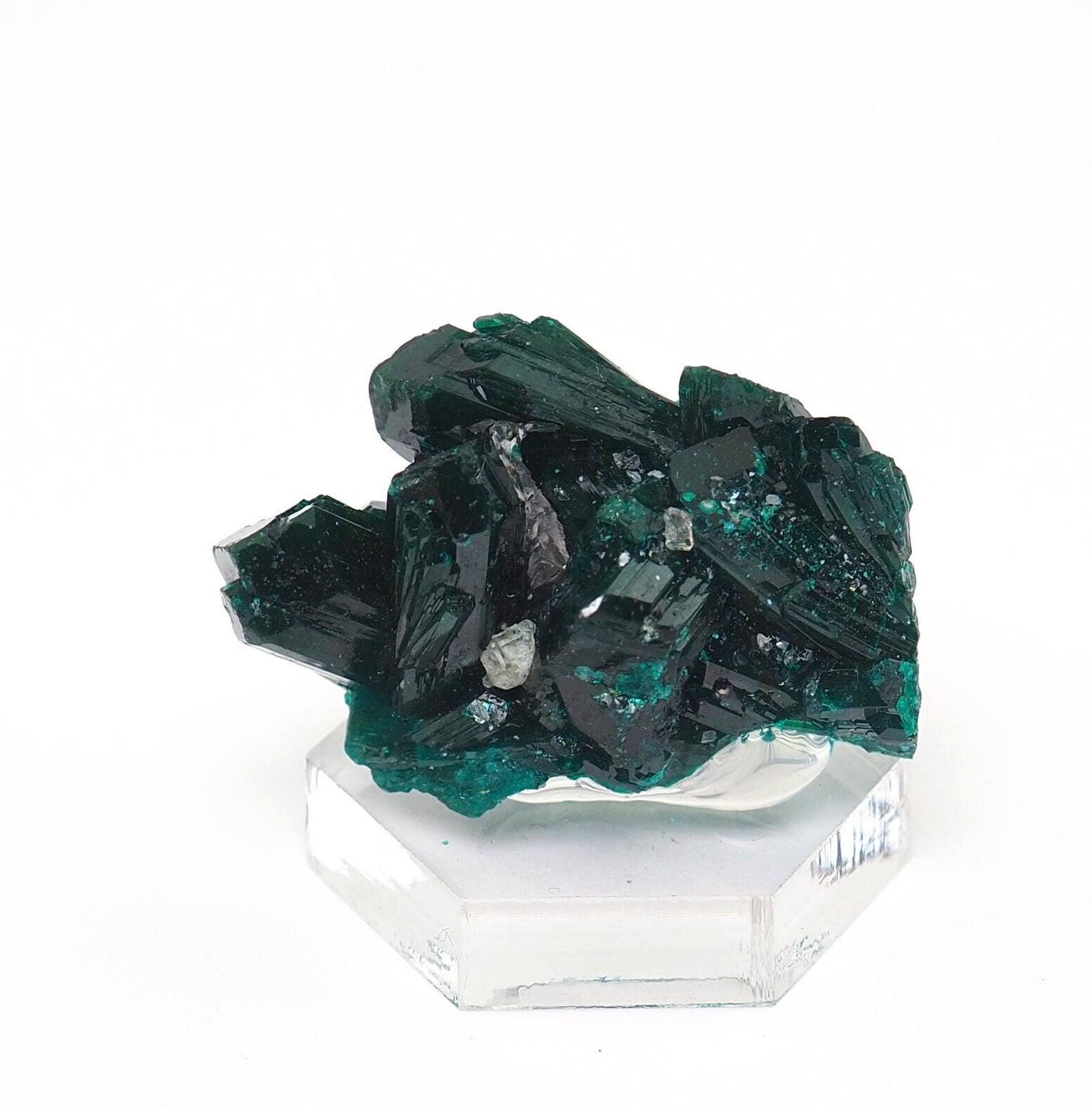 コンゴ民主共和国産ダイオプテーズ結晶天然石原石鉱物標本 - 18 mm x