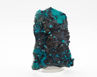 Chrysocolla crystals on matrix natural mineral specimen from Planet mine, Arizona, USA - 77mm x 55mm x 24mm (F1127-9)