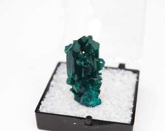 Dioptase-Kristallmineral aus Republik Kongo natürlicher frecher Kasten-Miniaturstein - TN1860 - Strukturmineralien