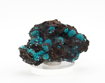 Chrysocolla crystals on matrix natural mineral specimen from Planet mine, Arizona, USA - 55mm x 36mm x 23mm (F1127-11)