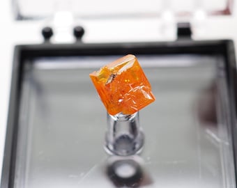 オレンジ色のウルフェナイト結晶、アリゾナ州 79 鉱山の鉱物標本