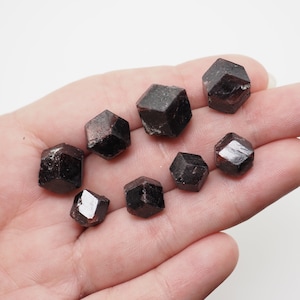 Garnet Crystals from Brazil - Dark Red Garnets Raw Stone Crystal mineral structureminerals