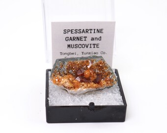 Spessartine Garnet crystals on Muscovite from Tongbei, China thumbnail mineral perky box natural stone (TN1030-38) structure minerals