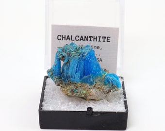 Chalcanthite natural mineral specimen from Planet mine, Arizona, USA thumbnail perky box included (TN91123-53) structure minerals