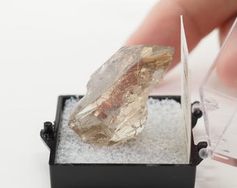 ルチルクォーツ結晶（ブラジル産、元気な箱入り）鉱物標本（TN5817-2