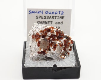 Spessartine Garnet and Smoky Quartz on Feldspar from Tongbei, China thumbnail mineral perky box natural stone (TN1030-26) structure minerals