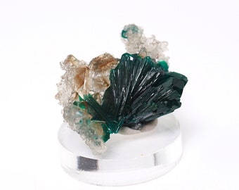 Dioptase crystal spray with quartz natural stone specimen from Sanda, DRC - 26mmx  19mm x 11mm (f11217)