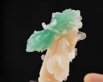 Fluorapophyllite on Stilbite crystal from Savda, India - 50mm x 30mm x 30mm (TUC24-2) structure minerals