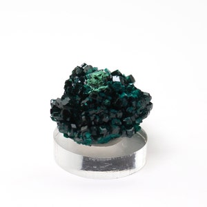 F83538 Dioptase crystal mineral specimen from Republic of Congo 27mm x 24mm x 19mm 6.9gm