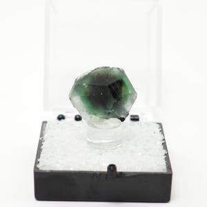 Fluorite crystal on Schorl from Lolipop pocket, Erongo Mtns, Namibia natural mineral specimen thumbnail box TN5326-45 structure minerals