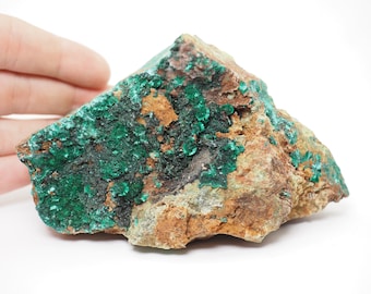 Brochantite on matrix mineral specimen from California, USA - 470gm / 111mm x 70mm x 58mm (721.1-10)