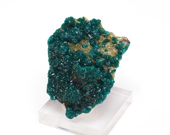Dioptase crystal mineral specimen with minor Mimetite from Republic of Congo - 22gm / 37mm x 30mm x 20mm (F83540)