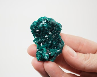 Dioptase crystal cluster from Pool Dist., Republic of Congo - 30gm / 51mm x 35mm x 15mm (F91123) 2023