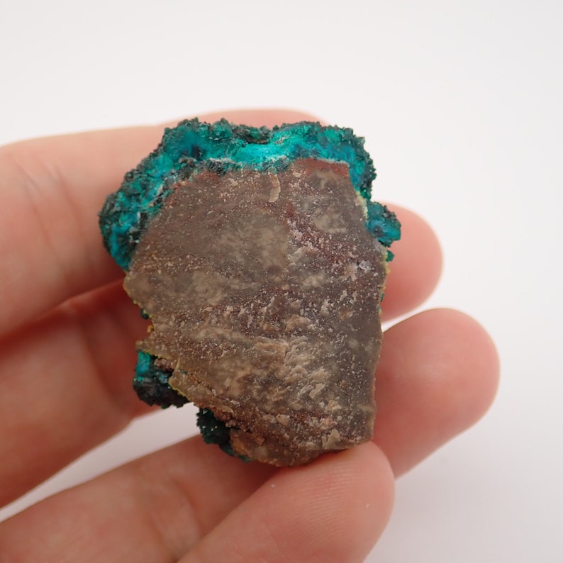 t15off DRC Dioptase with Mimetite from Tantara mine F65334 27gm 37mm x 32mm x 24mm
