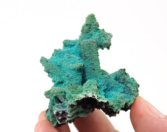 正規品＊クリスタルファウンテン スモーキークォーツ クリスタルクォーツ 米国ユタ州産スモーキークォーツクリスタル - 76 mm x 28 mm x 23 mm