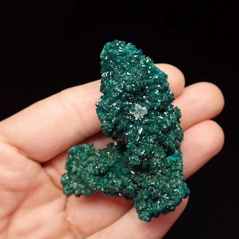 Dioptase crystals on matrix with Calcite from DRC F68206 57mm x 45mm x 26mm t15off