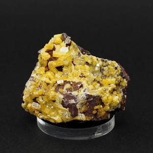 Yellow Mimetite crystals from Mindouli, Republic of Congo mineral specimen natural science gift geology stone (F5607-1) structure minerals