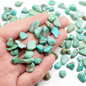Polished Turquoise Stone Nuggets: Golden Hill Kazakhstan, Natural Blue Green Gem