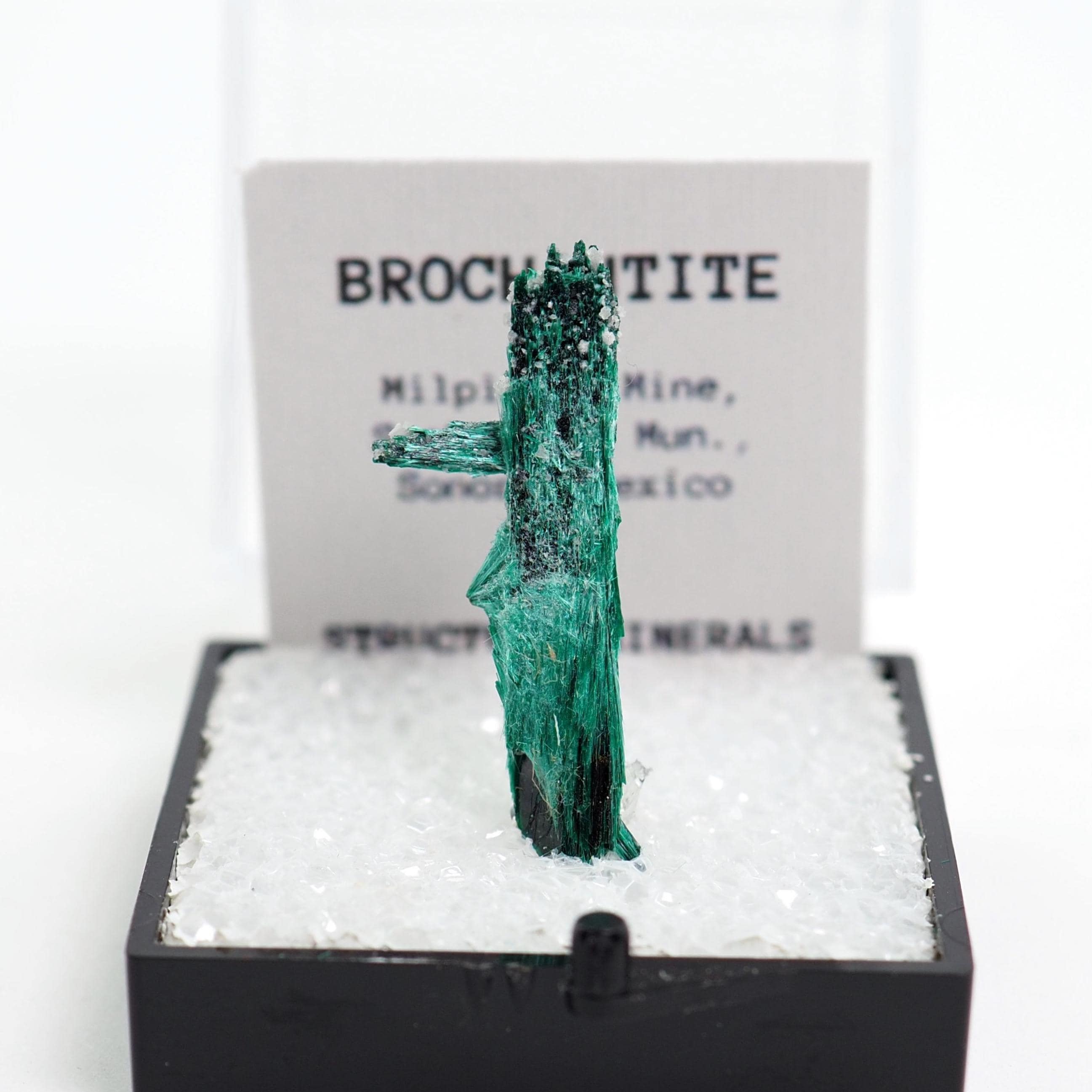 Torbernite mineral - Etsy 日本