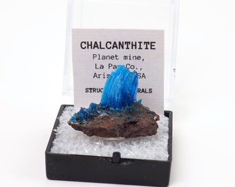 Chalcanthite natural mineral specimen from Planet mine, Arizona, USA thumbnail perky box included (TN91123-54) structure minerals
