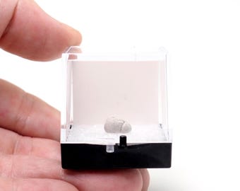 Perky Box - Empty Thumbnail Box - Mineral Display Case