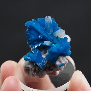 Blue Cavansite Rare Crystal Cluster on Matrix from Wagholi, India - Natural Mineral Specimen for Collectors (Tuc25-C11) structure minerals